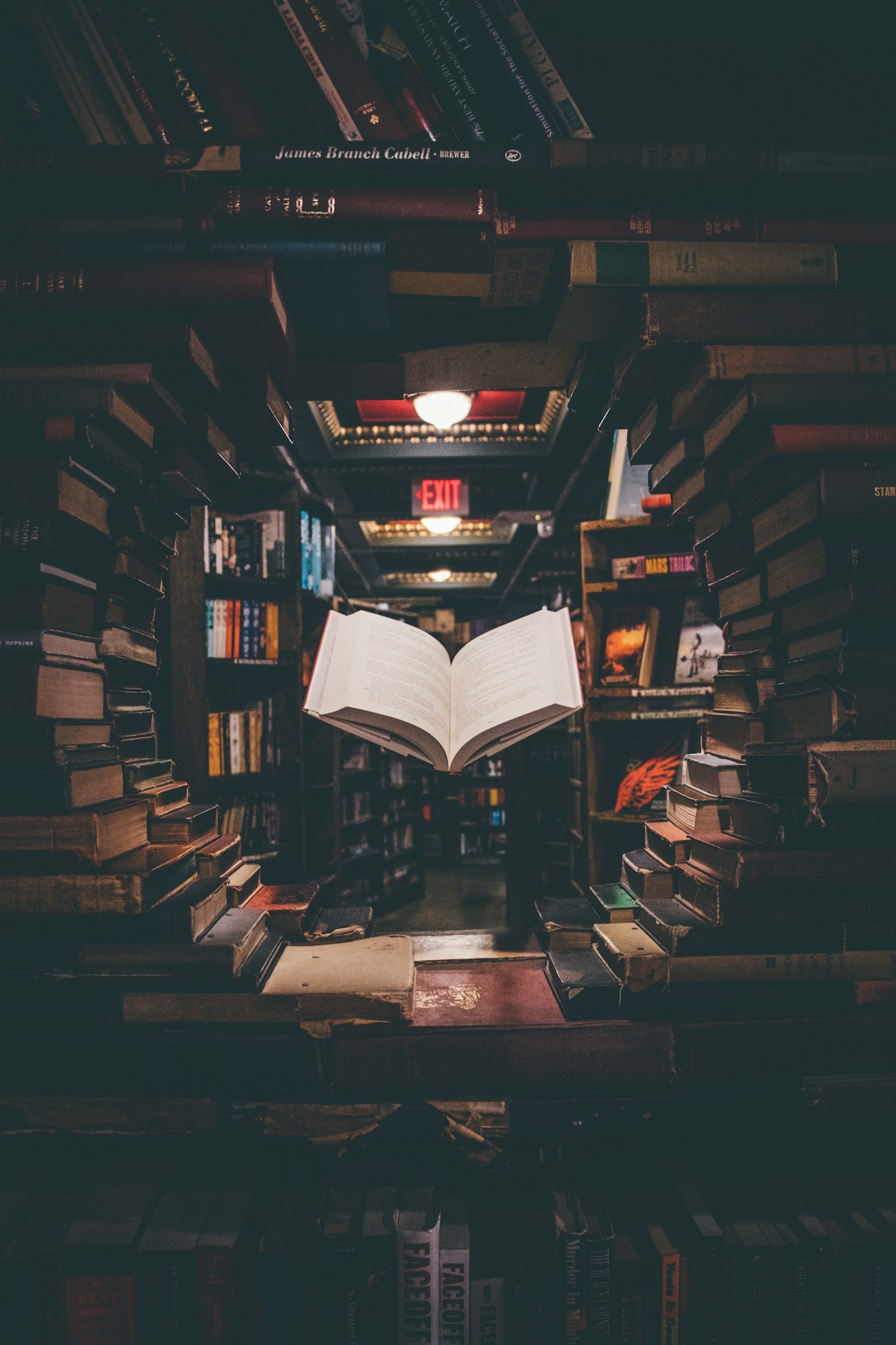 A conexão entre fisiologia humana e o estresse diário